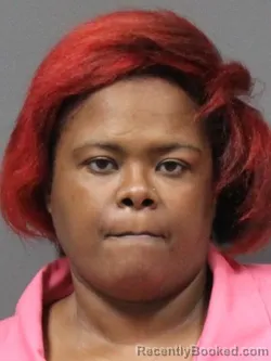 Mugshot of SHENNA ANN SCOTT