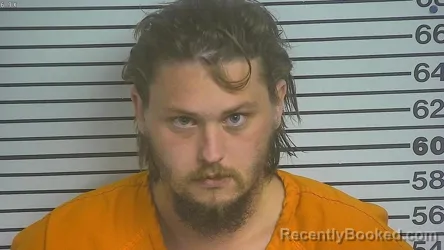 Mugshot of Donovan Sandifer