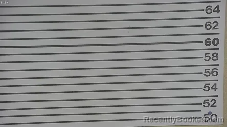 Mugshot of DEREK THOMAS WOODS