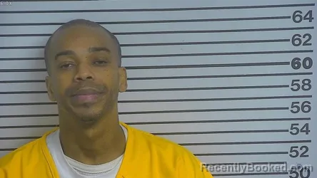 Mugshot of Lonnie E Sims