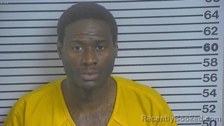 Mugshot of Meredith Austin