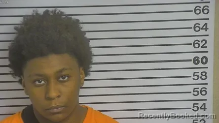 Mugshot of TANIYAH SHARELLE BROWN