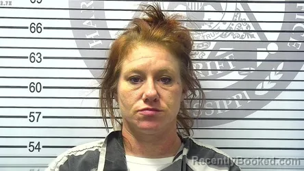 Mugshot of ASHLEY MARIE PARKER