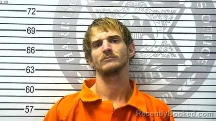 Mugshot of DYLAN CLAY BOURGEOIS