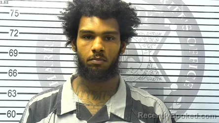 Mugshot of DAVID TYRONNE BIENEMY