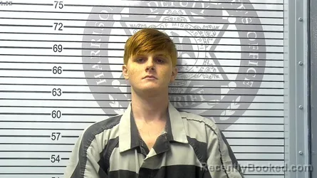 Mugshot of GREGORY ARTHUR HESTER