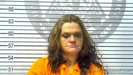 Mugshot of JENNIFER ARLENE GIBSON