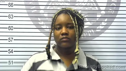 Mugshot of JESSARA LAMONICA HUDSON