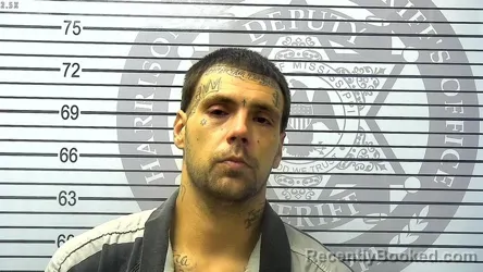 Mugshot of LOGAN REED MANTON
