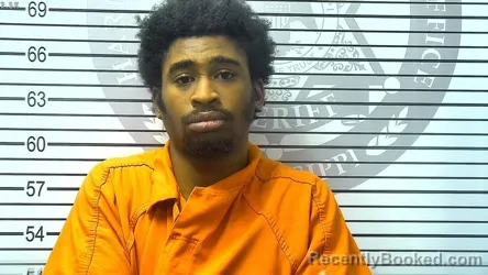 Mugshot of RAYSHAWN LEON DUNNING