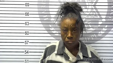 Mugshot of RACHEL GOINS