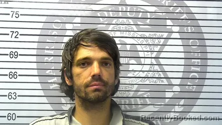 Mugshot of RICHARD TYLER KELLEMS