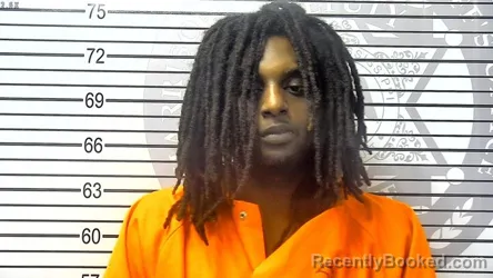 Mugshot of TYREESE BREON BOLTON