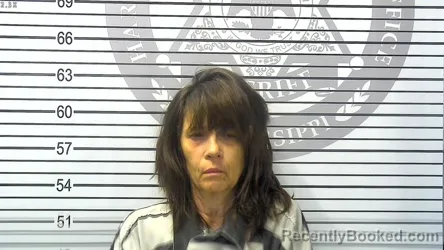 Mugshot of TINA LOUISE COLLINS