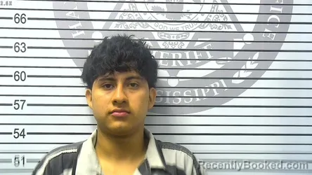Mugshot of YONCLI DELFINO DOMINGO-ESCOBEDO