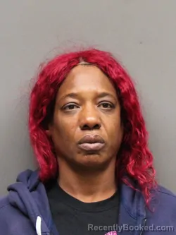 Mugshot of NATASHA LEVETT COLLINS