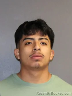 Mugshot of JOEL PEREZ