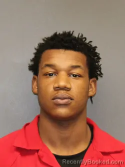 Mugshot of DONINIQUE SMITH