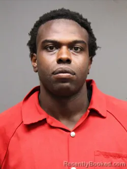 Mugshot of TREBORIS JENKINS