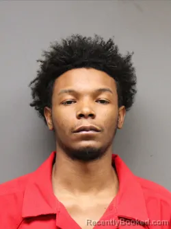 Mugshot of WILLIAM BROWN