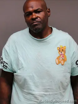 Mugshot of TARONTA RODGUS FIELDS