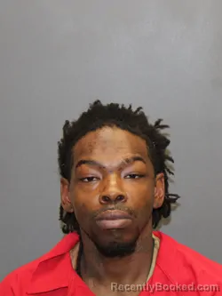 Mugshot of LARRY CHARLES LEVY