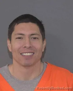 Mugshot of RANDY DILLON R NESBIT