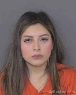 Mugshot of AZUL CELESTE DIAZ-RODRIGUEZ
