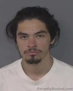 Mugshot of ZEPPELIN RAY TAMILIO