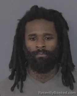 Mugshot of MICHAEL FITZGERALD BROWN