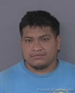 Mugshot of MARINO MISAEL ROJAS