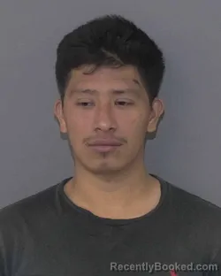 Mugshot of JOSE ROBELI PEREZ-CRUZ