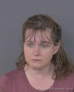 Mugshot of BRIDGET COLLEEN OLSON