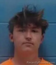 Mugshot of MASON E BRUNEAU
