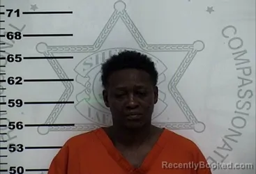 Mugshot of ASHLEY NICOLE WELLS