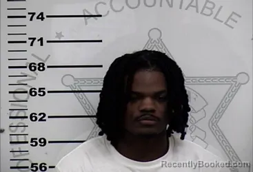 Mugshot of RAYAUNTA RAYQWANTA LAMAR JUDON