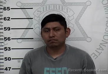 Mugshot of RIGOBERTO MEJIA SALVADOR