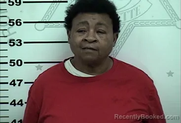 Mugshot of LEISA JOE JOHNSON