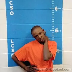 Mugshot of BRIANNA R HENDERSON