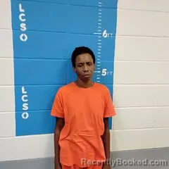 Mugshot of VIVIAN LOCKWOOD