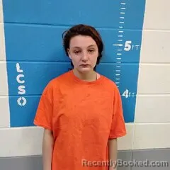 Mugshot of ASHLYN B JOHNS