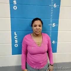 Mugshot of DANALY L WILSON