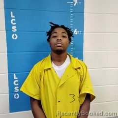 Mugshot of BRYAN CAMERON