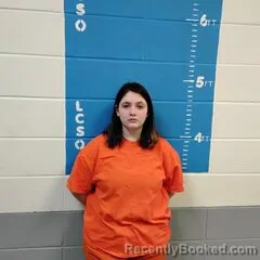 Mugshot of LANNY E WELLS