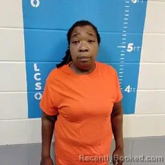 Mugshot of KIMBERLY N STEWART