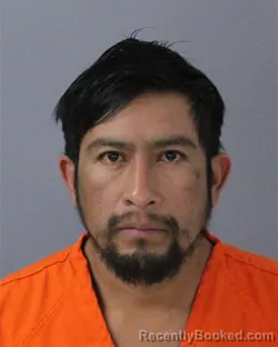 Mugshot of LUIS REYES-MENDEZ