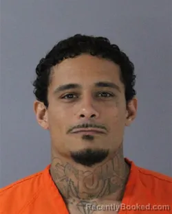 Mugshot of WILLIE EDWARD HOLLOWAY