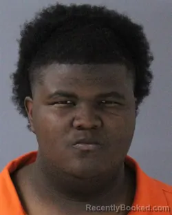 Mugshot of DOMINIC MAURICE YOUNG