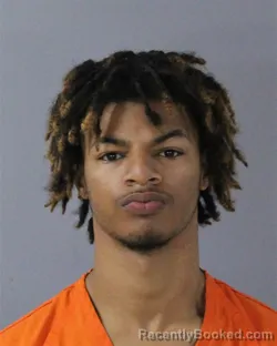 Mugshot of CAMERON DEMON WILLIAMS