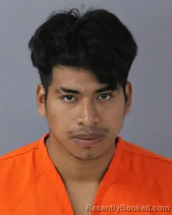 Mugshot of JOSE FELIPE-SANTIZO